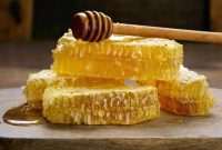 پیام رئیس سازمان جهادکشاورزی استان آذربایجان شرقی به مناسبت روز ملی عسل