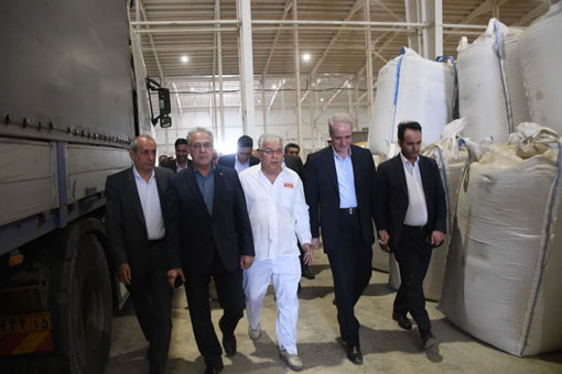 تأمین ۹۰ درصد گوشت قرمز کشور از تولید داخل تا پایان برنامه هفتم توسعه تأمین ۹۰ درصد گوشت قرمز کشور از تولید داخل تا پایان برنامه هفتم توسعه