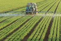 آغاز کشت پاییزه در ۲۱ شهرستان آذربایجان شرقی