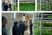 افتتاح یک واحد گلخانه ای تولید علوفه در اهر برای اولین بار در سطح استان