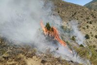 جزییات آتش‌سوزی در جنگل‌های ارسباران/ خسارت به ۳۰ هکتار مرتع مشجر و ۱۰ هکتار اراضی جنگلی در خداآفرین